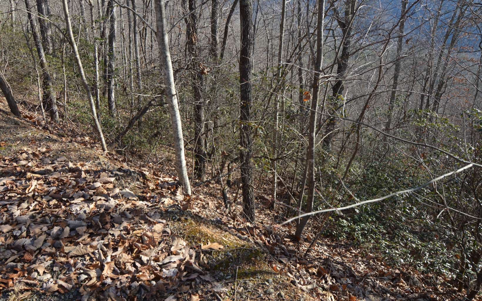 Lot 20 Enchanted Ridge, Hayesville NC 28904 - Photo
