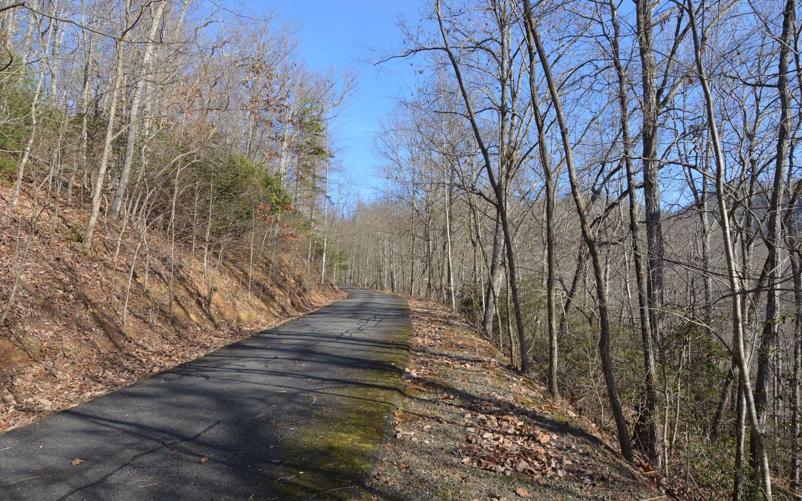 Lot 20 Enchanted Ridge, Hayesville NC 28904 - Photo