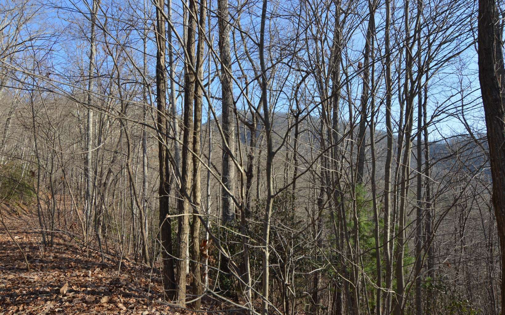 Lot 20 Enchanted Ridge, Hayesville NC 28904 - Photo
