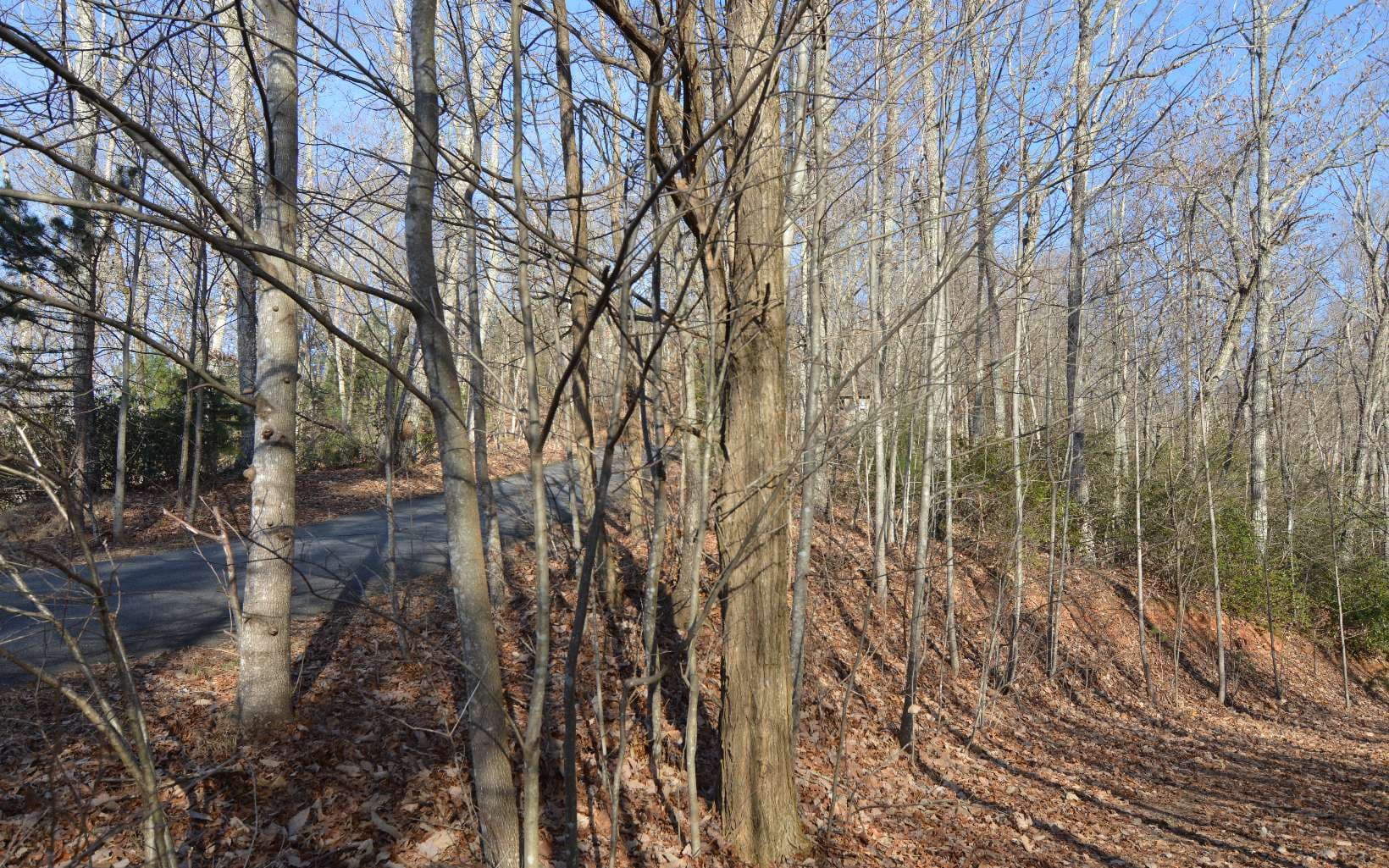 Lot 20 Enchanted Ridge, Hayesville NC 28904 - Photo