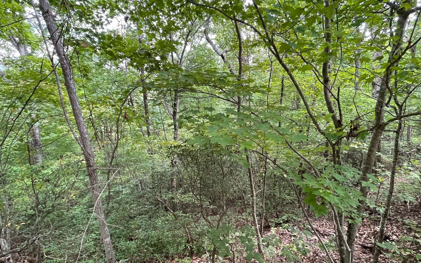 Lot 20 Enchanted Ridge, Hayesville NC 28904 - Photo