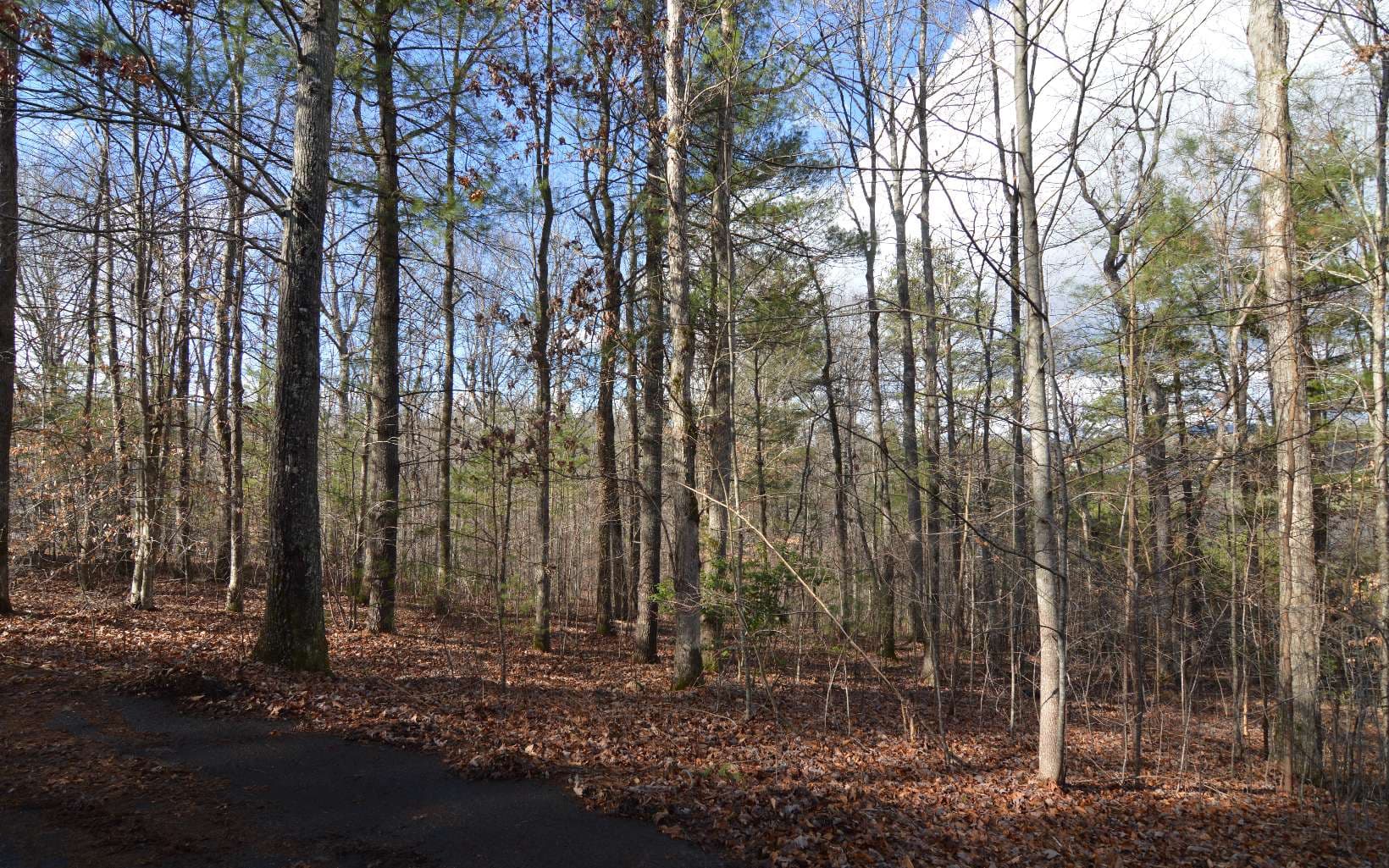 Lot 26 Coosa Bend Drive, Blairsville GA 30512 - Photo