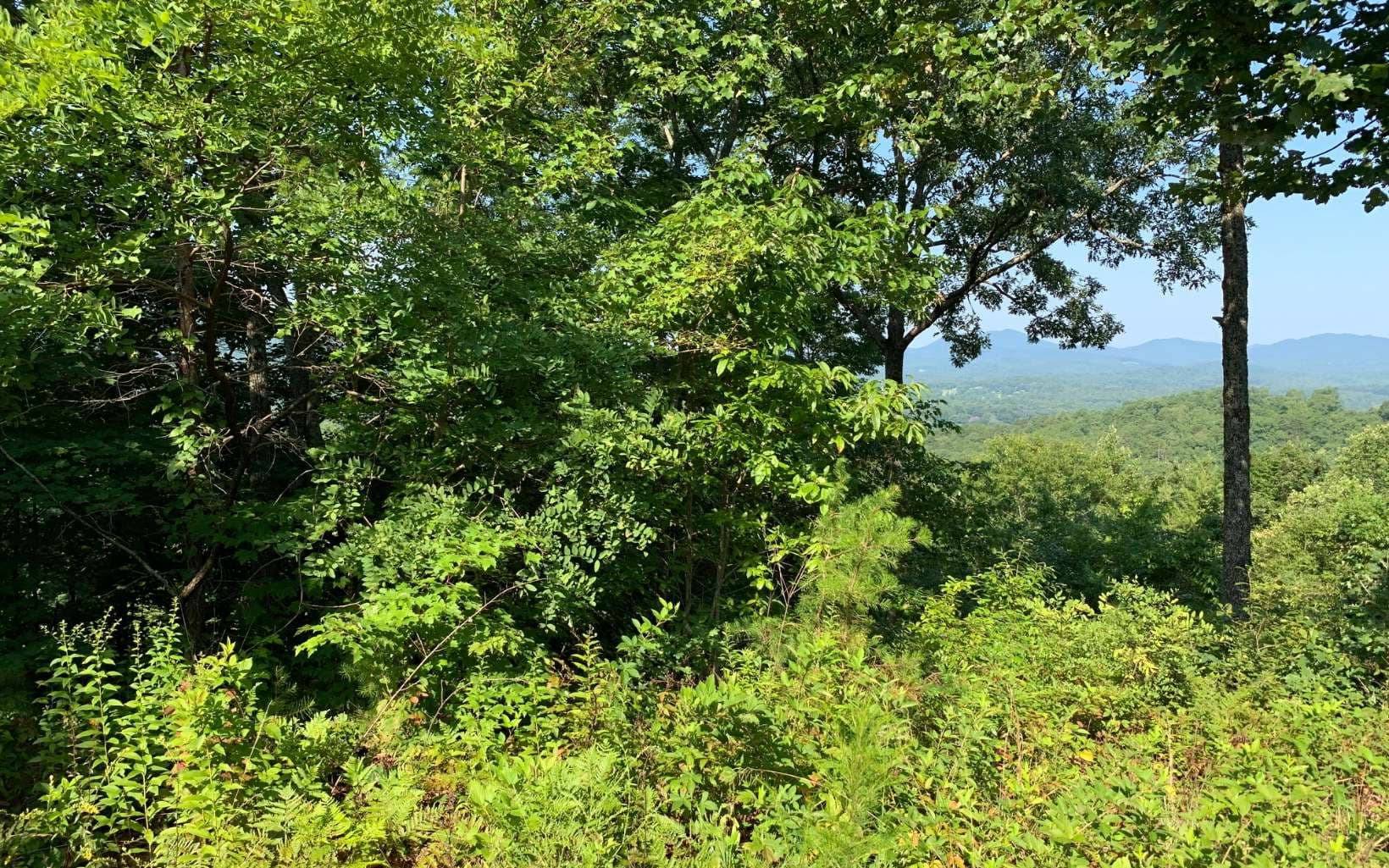 LOT 7 Golden Oaks, Warne NC 28909 - Photo