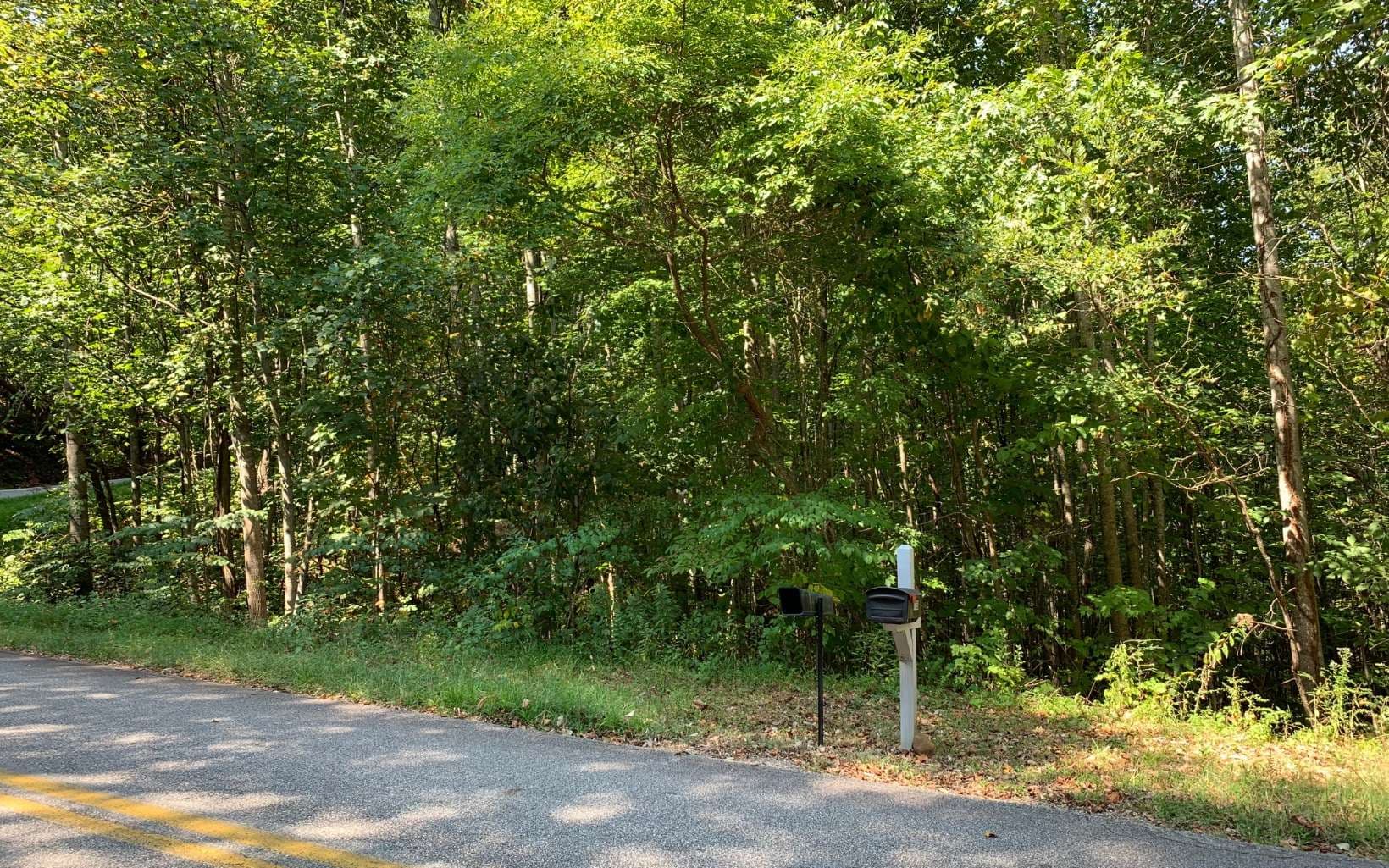 Lot 26 Lake Forest Estates, Hiawassee GA 30546 - Photo
