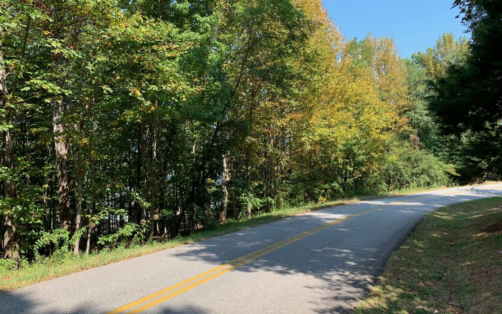 Lot 26 Lake Forest Estates, Hiawassee GA 30546 - Photo