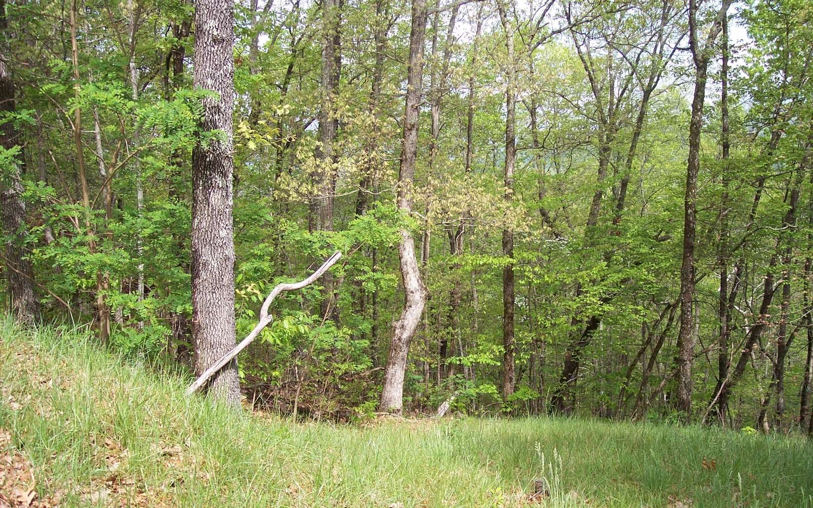 20 Thunder Road, Hayesville NC 28904 - Photo