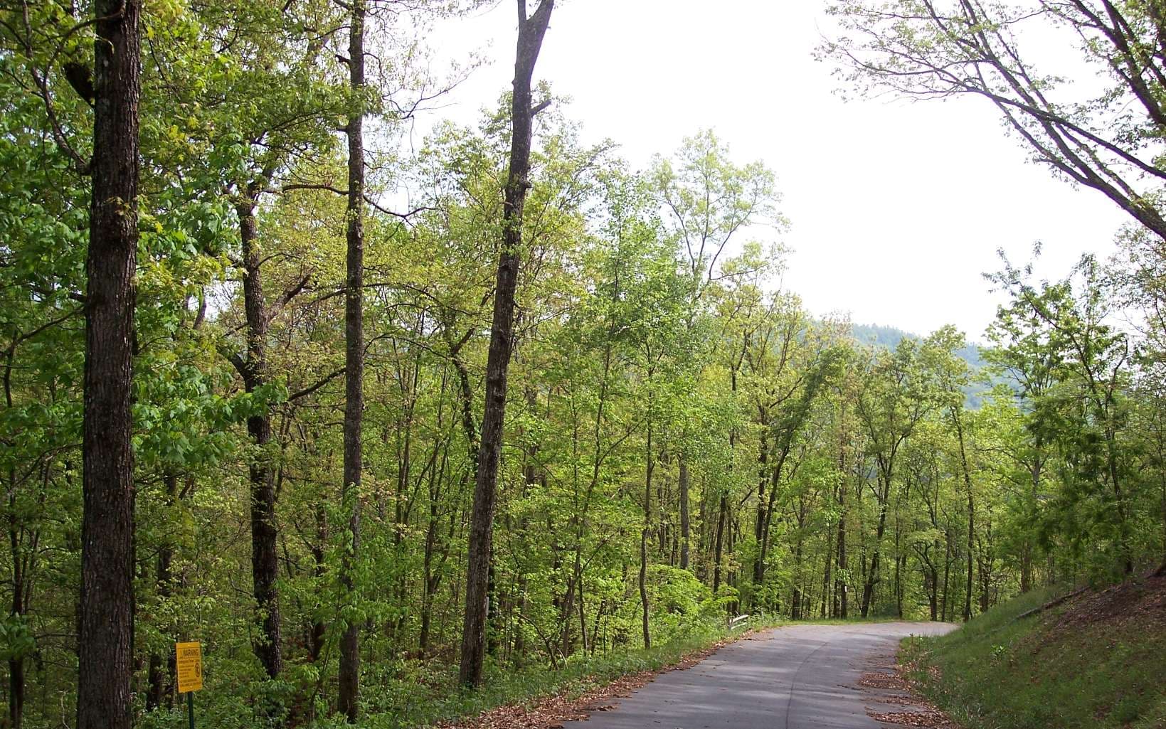 20 Thunder Road, Hayesville NC 28904 - Photo