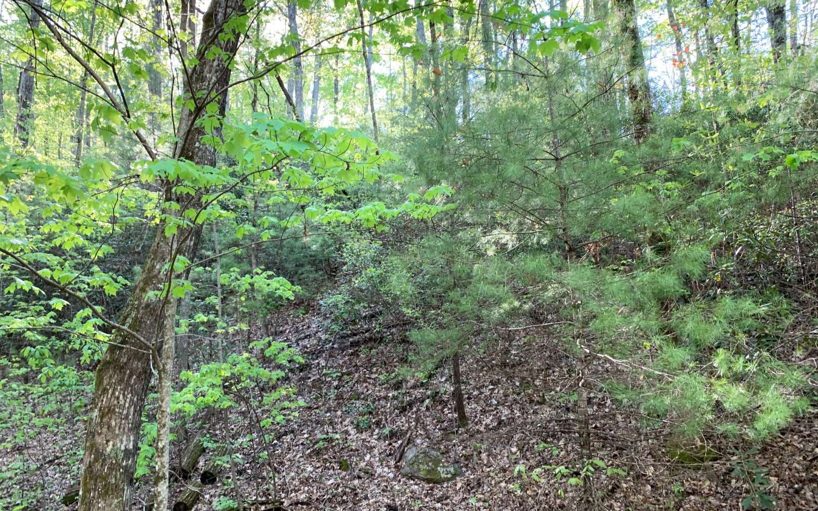 Lot 44 Fires Creek Cove Road, Hayesville NC 28904 - Photo