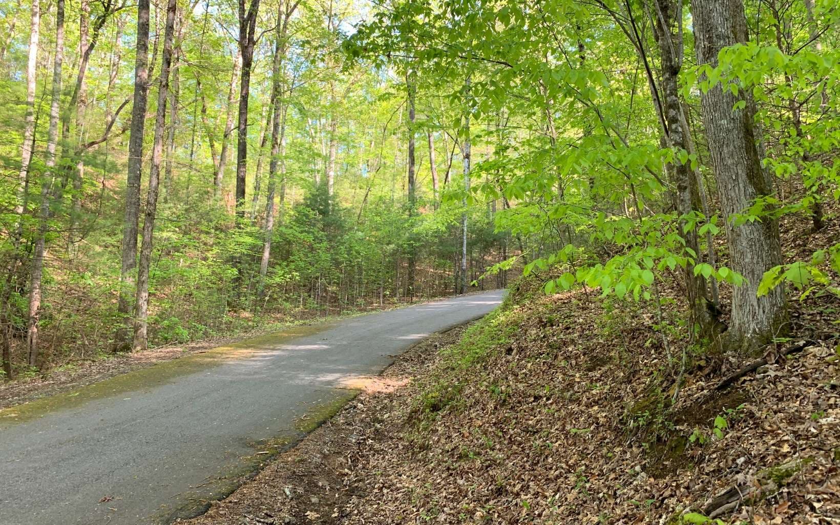Lot 44 Fires Creek Cove Road, Hayesville NC 28904 - Photo