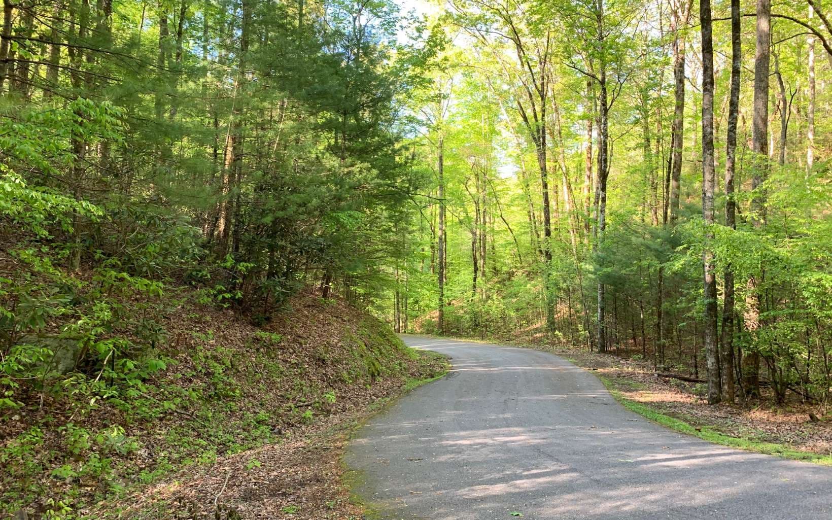 Lot 44 Fires Creek Cove Road, Hayesville NC 28904 - Photo