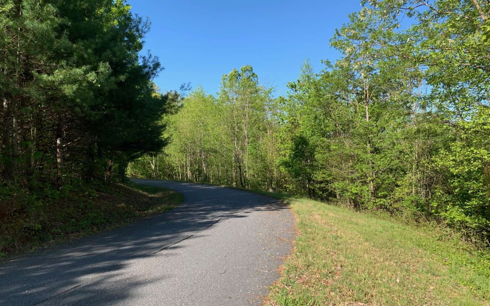 Lot 57 Fires Creek Cove Road, Hayesville NC 28904 - Photo