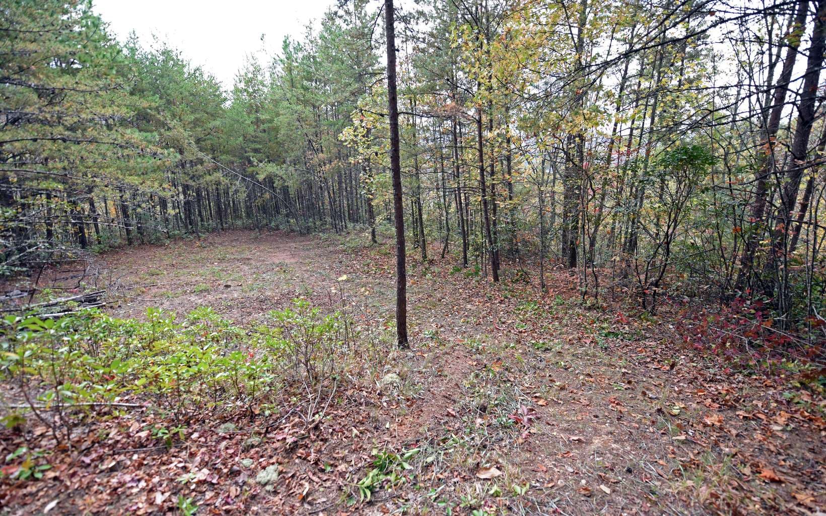 TBD Mclean Road, Andrews NC 28901 - Photo