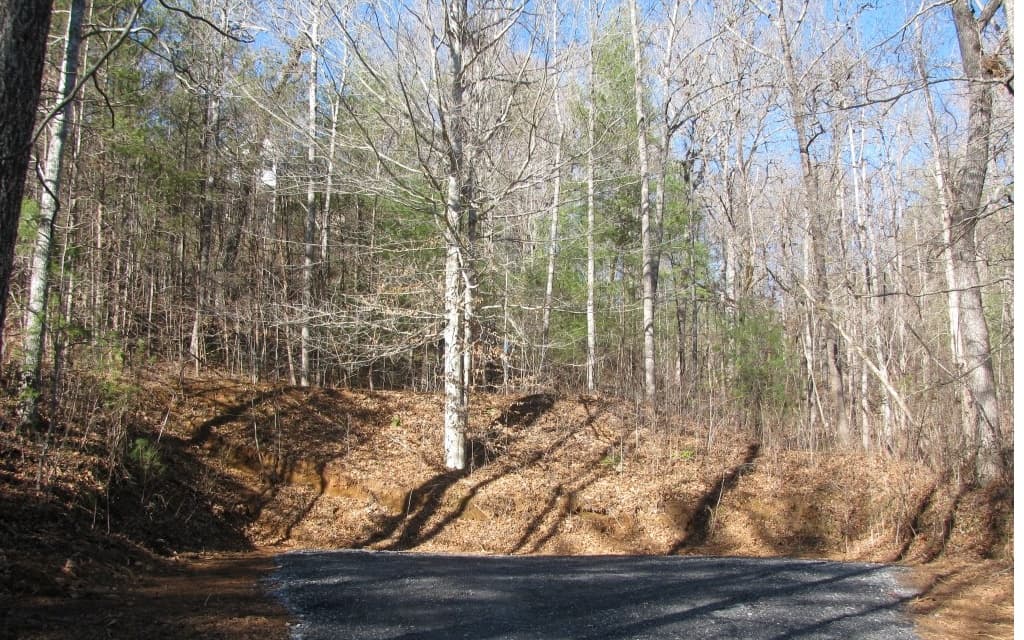 #68 Summerwood Lane, Young Harris GA 30582 - Photo