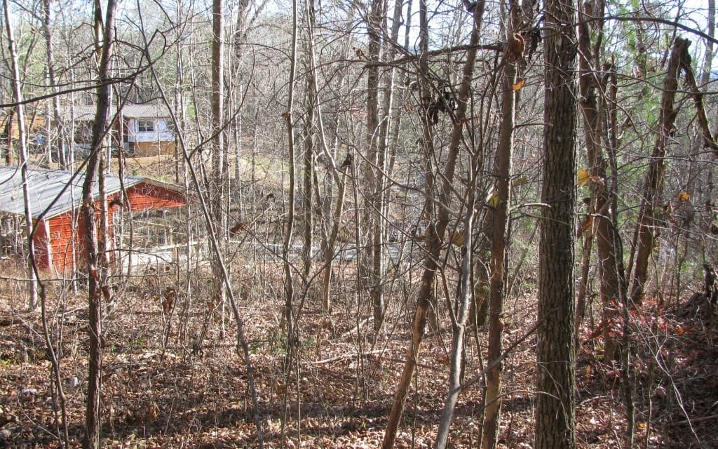 #68 Summerwood Lane, Young Harris GA 30582 - Photo