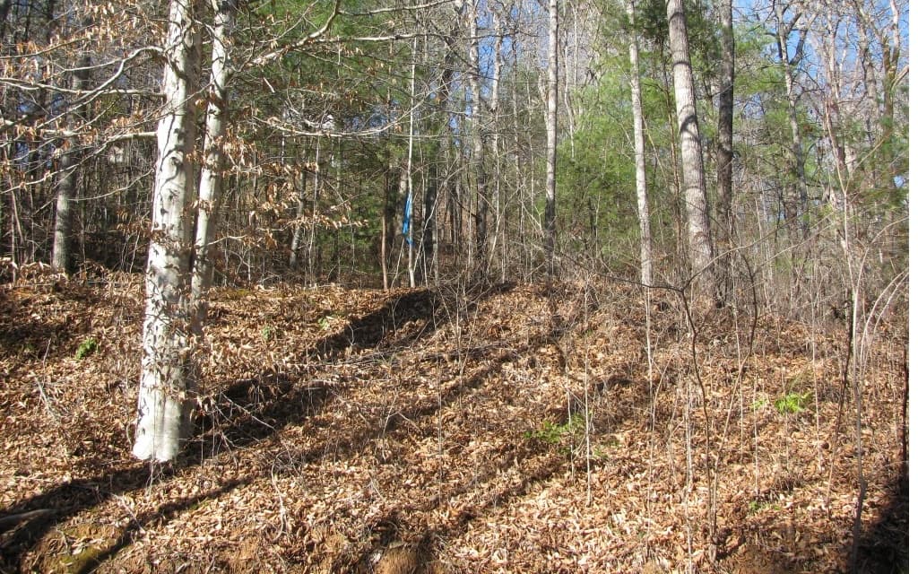#68 Summerwood Lane, Young Harris GA 30582 - Photo