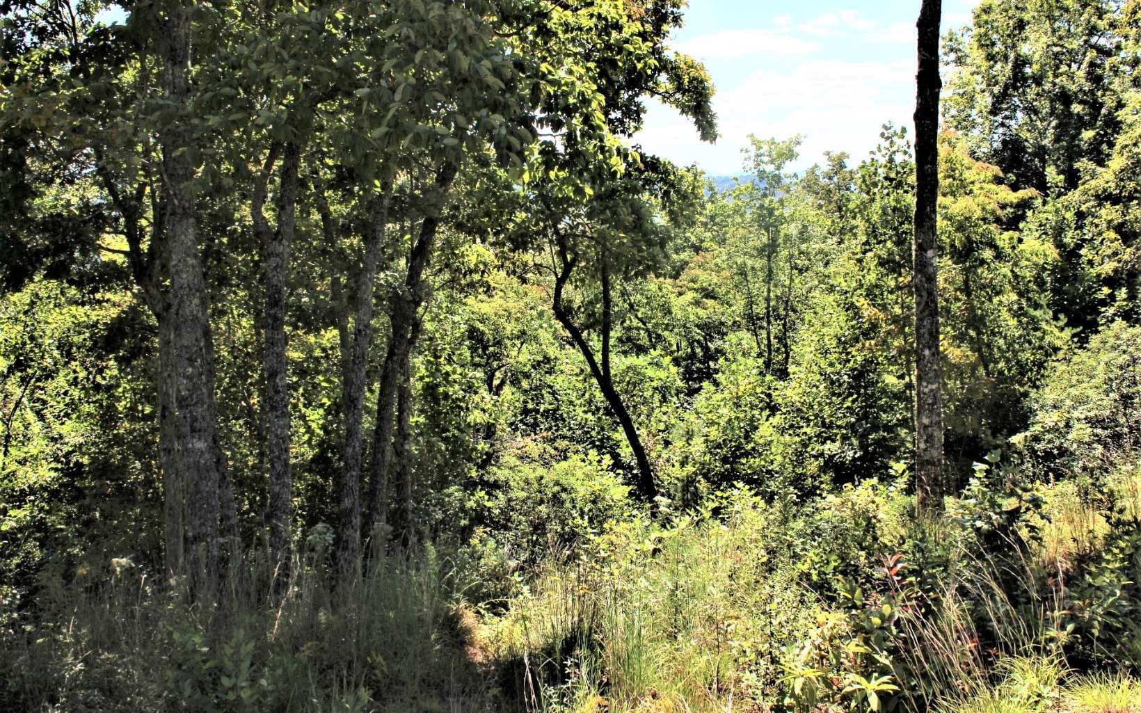 B&D W Cherry Road, Hayesville NC 28904 - Photo
