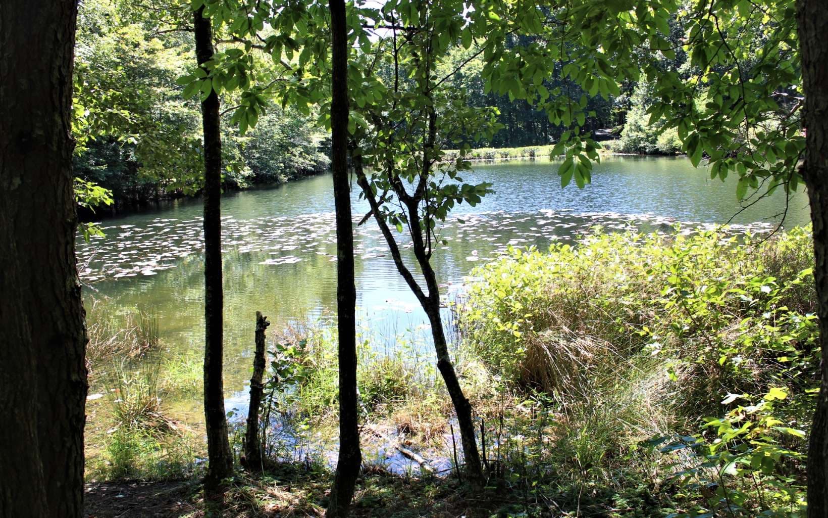 B&D W Cherry Road, Hayesville NC 28904 - Photo