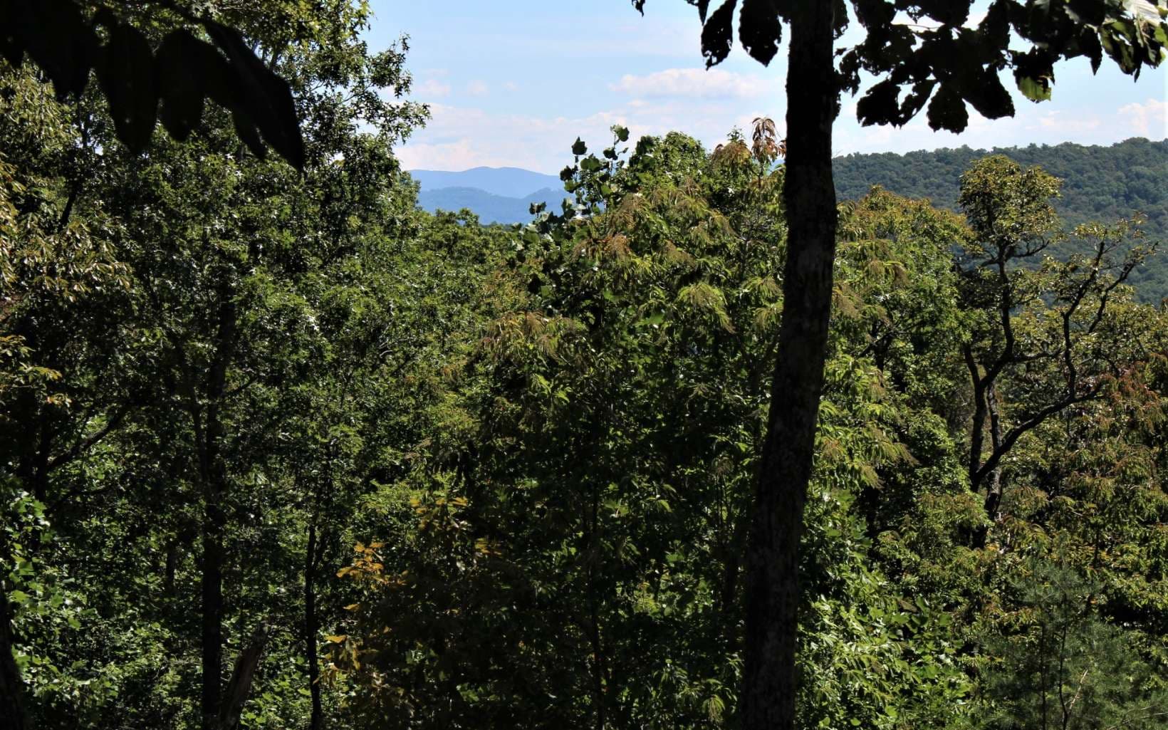 B&D W Cherry Road, Hayesville NC 28904 - Photo