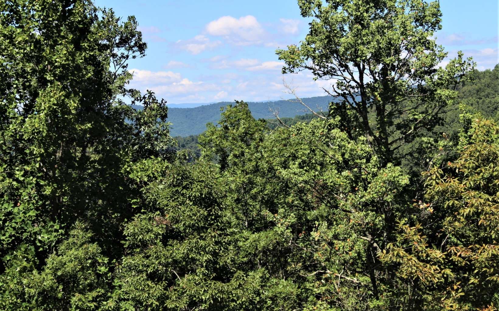 B&D W Cherry Road, Hayesville NC 28904 - Photo