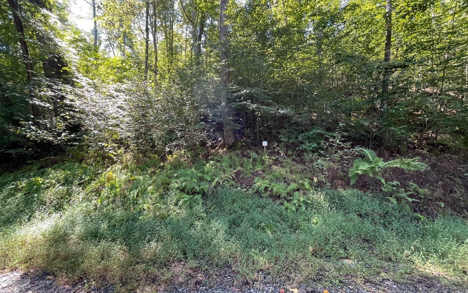 Lot 35 Hidden River, Hayesville NC 28904 - Photo