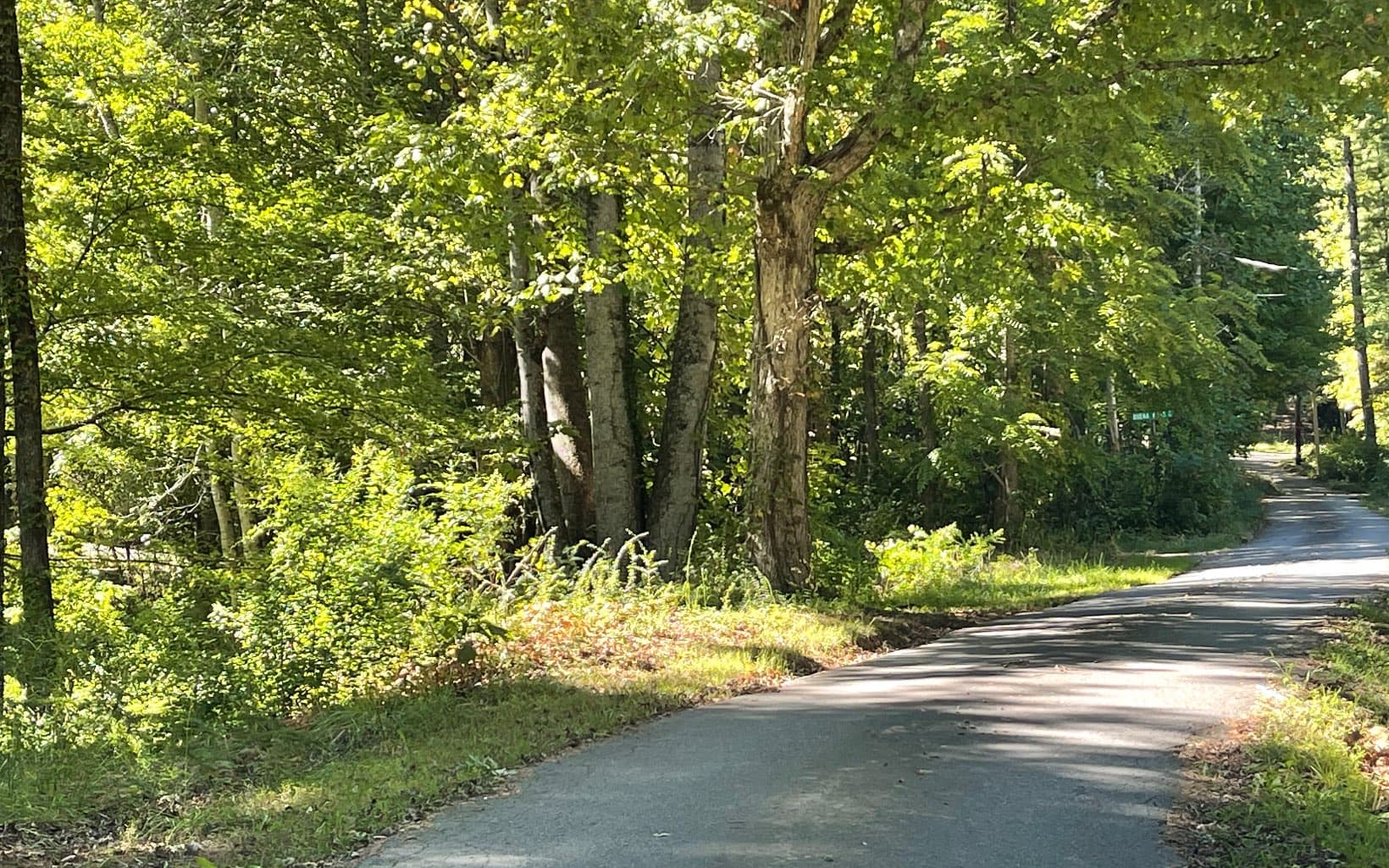 PC 1 Buena Vista Drive, Hayesville NC 28904 - Photo