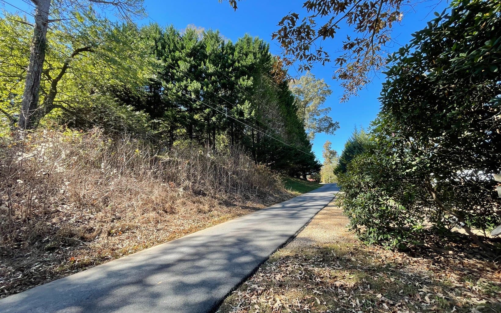 Lot 27 Sneaking Creek Drive, Hayesville NC 28904 - Photo