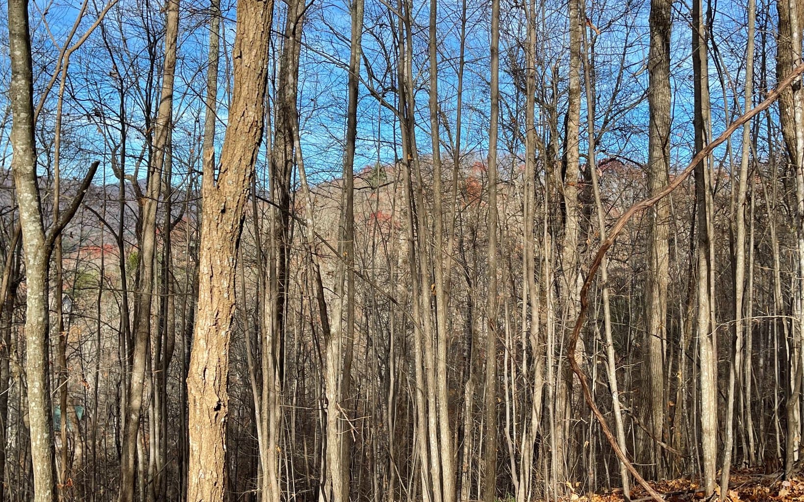 Lot 19 Bear Trail, Hiawassee GA 30546 - Photo