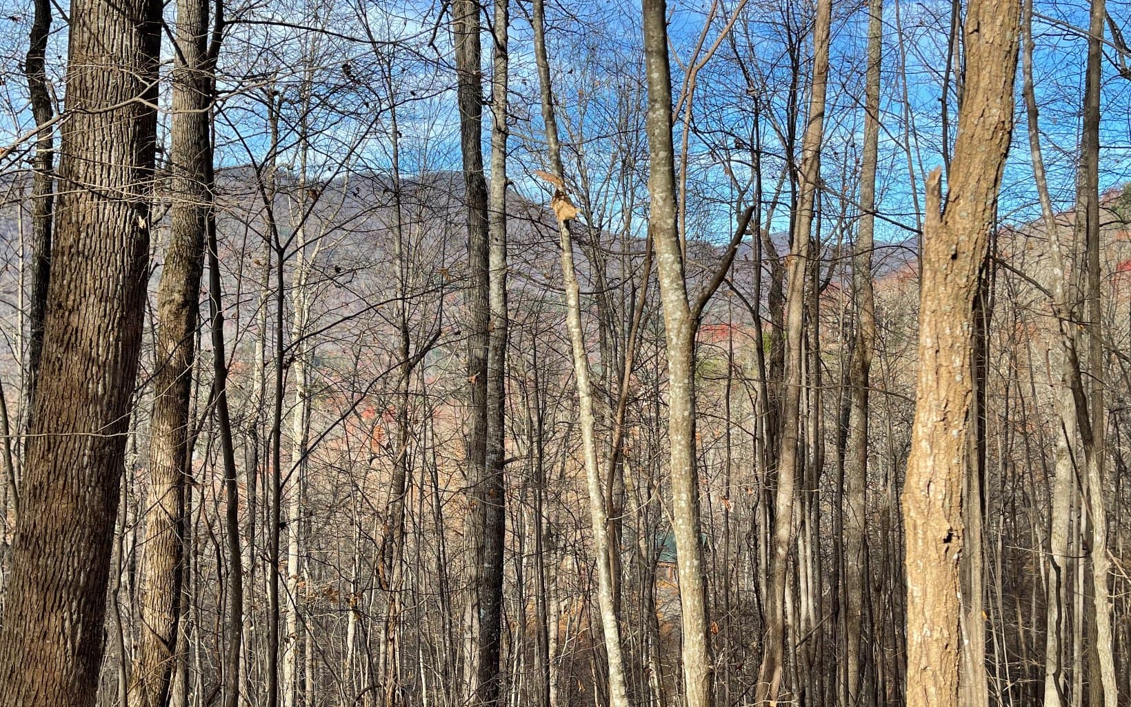 Lot 19 Bear Trail, Hiawassee GA 30546 - Photo