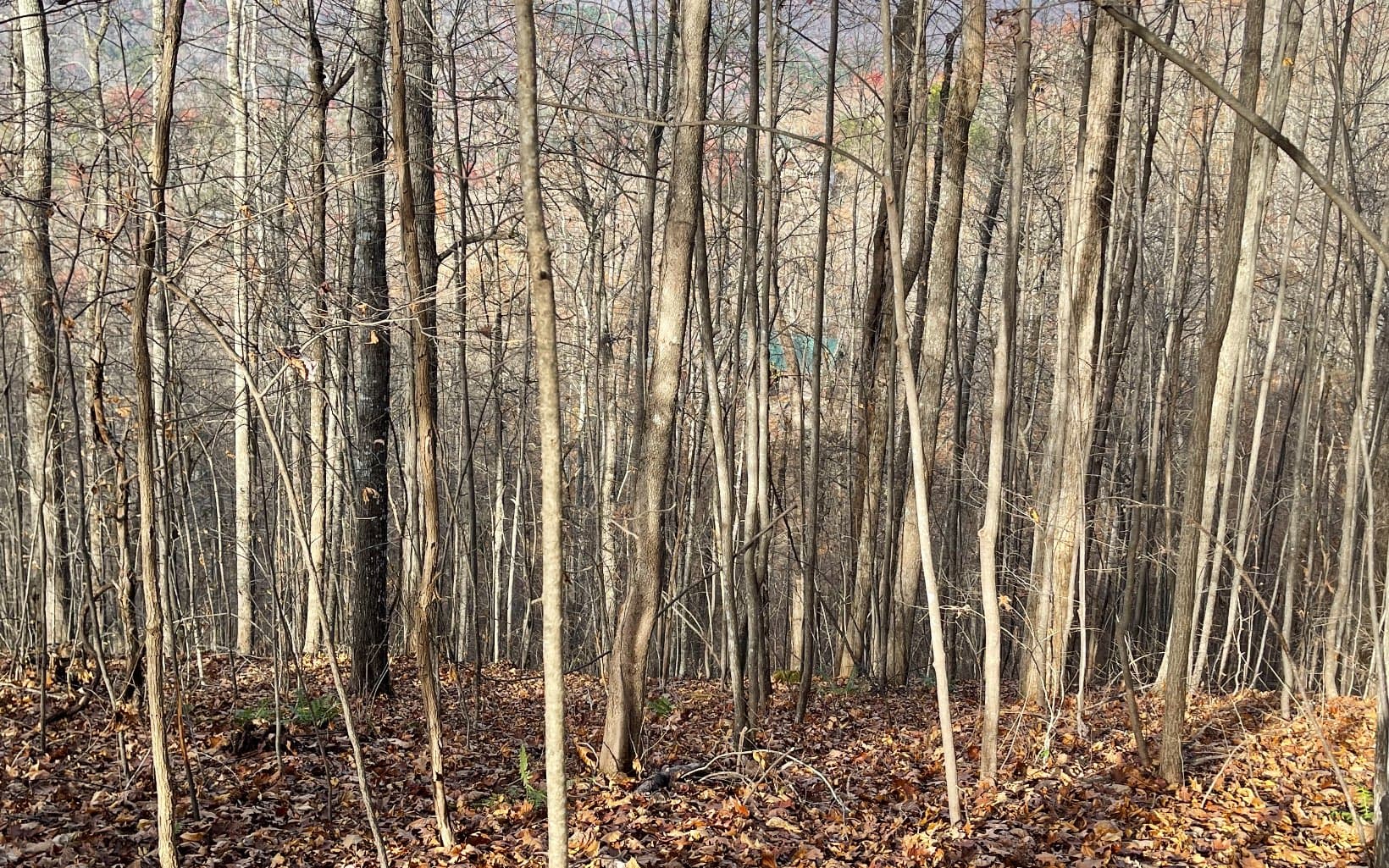 Lot 19 Bear Trail, Hiawassee GA 30546 - Photo