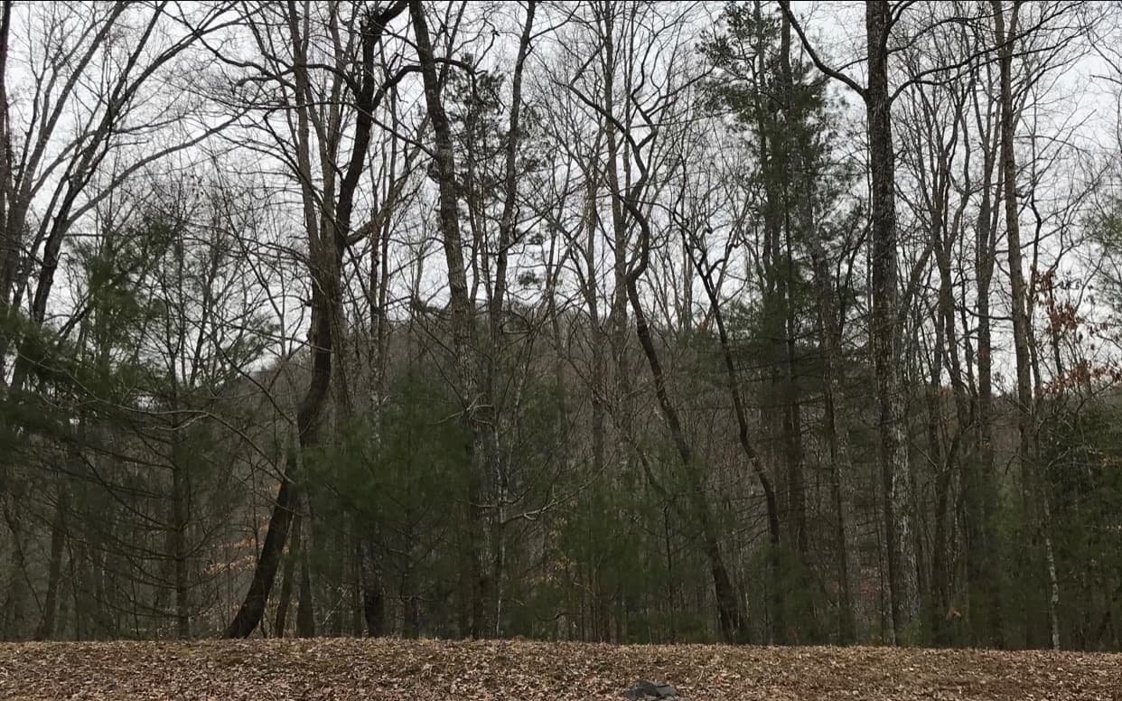 96 Mine Cart Trail, Blairsville GA 30512 - Photo
