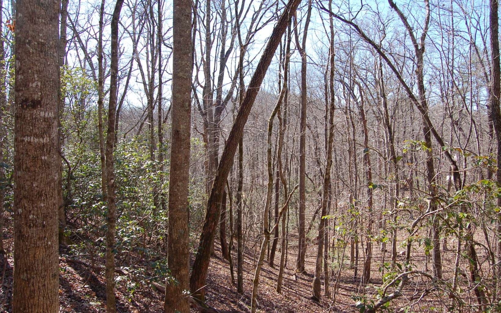00 Timberline Lane, Hayesville NC 28904 - Photo