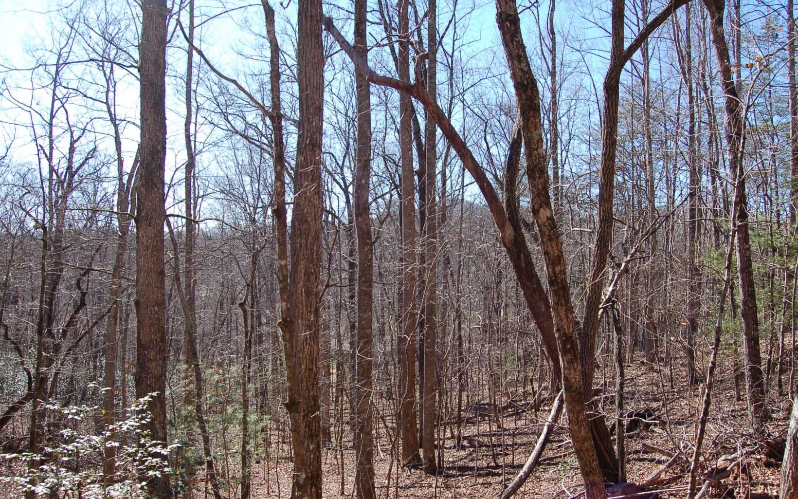 00 Timberline Lane, Hayesville NC 28904 - Photo