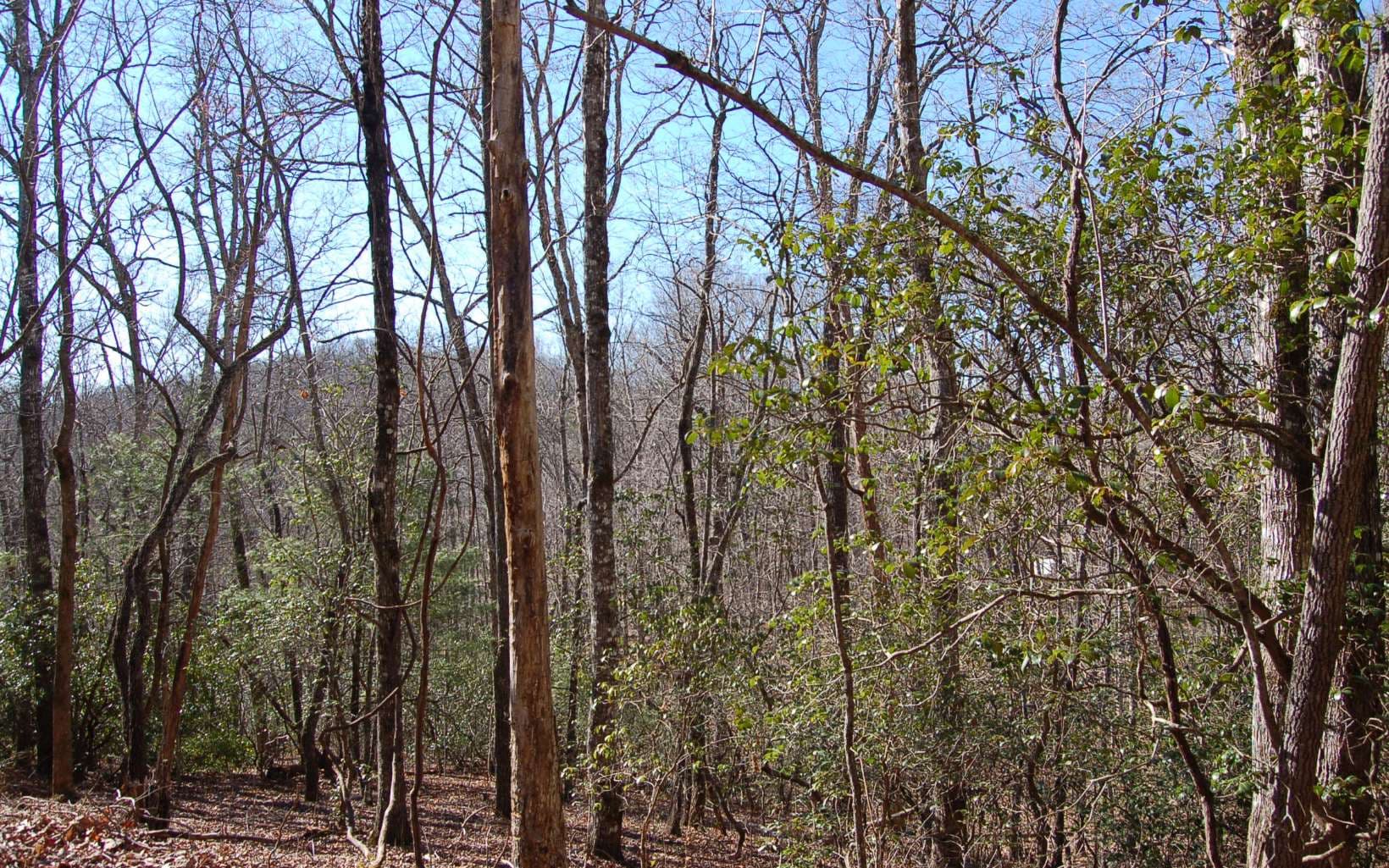00 Timberline Lane, Hayesville NC 28904 - Photo