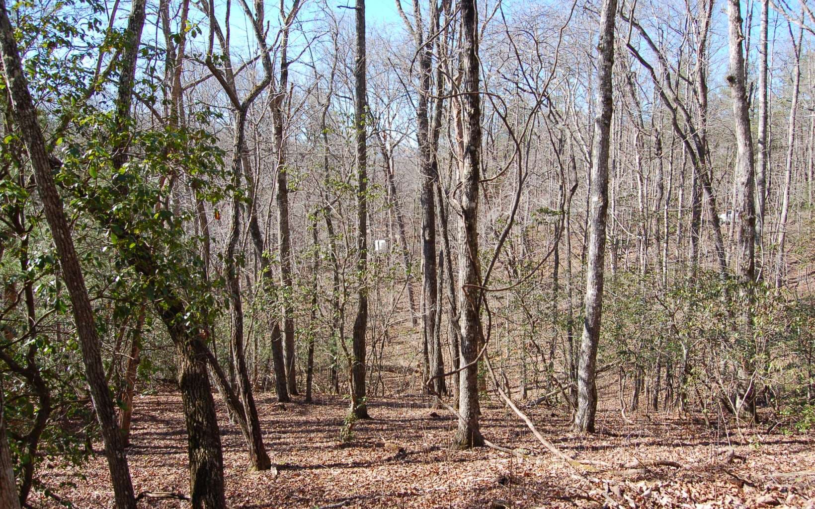 00 Timberline Lane, Hayesville NC 28904 - Photo