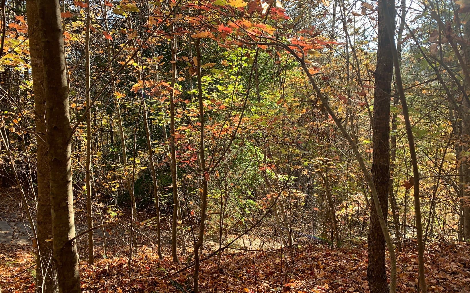 29 Lake Point Drive, Murphy NC 28906 - Photo