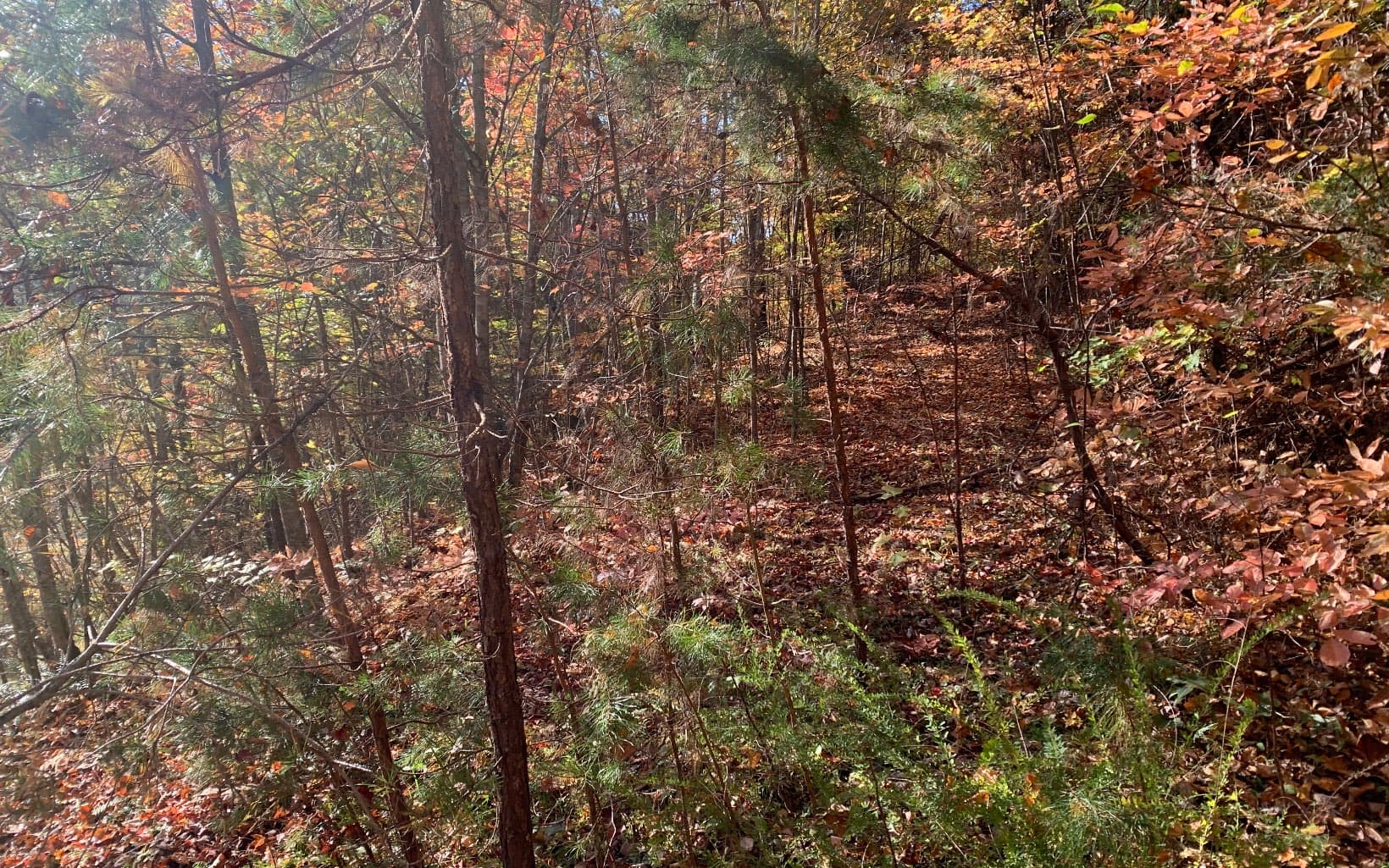 29 Lake Point Drive, Murphy NC 28906 - Photo