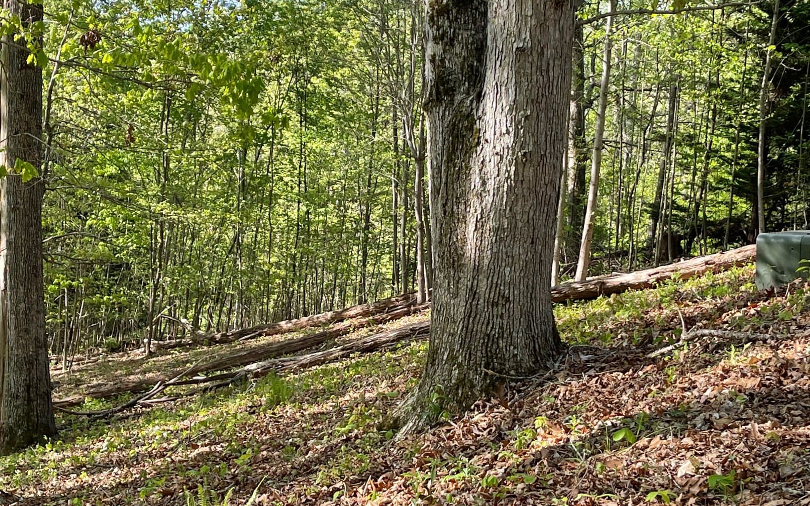 Lot 1C Lakewood Hills, Hayesville NC 28904 - Photo