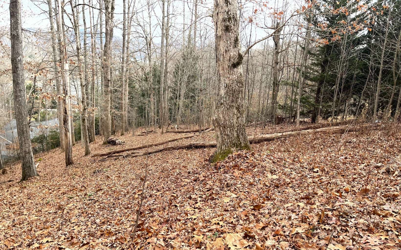 Lot 1C Lakewood Hills, Hayesville NC 28904 - Photo
