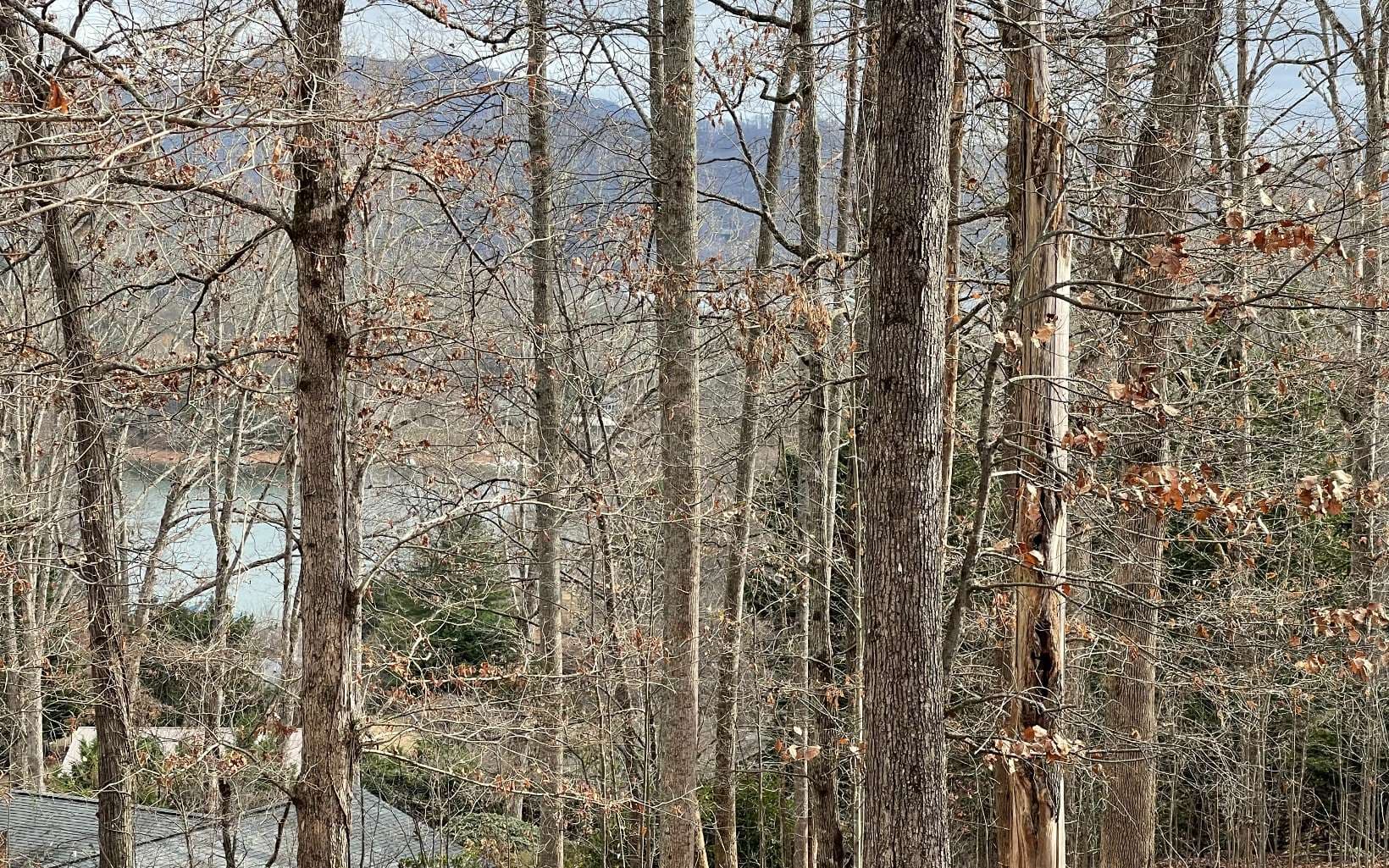 Lot 1C Lakewood Hills, Hayesville NC 28904 - Photo