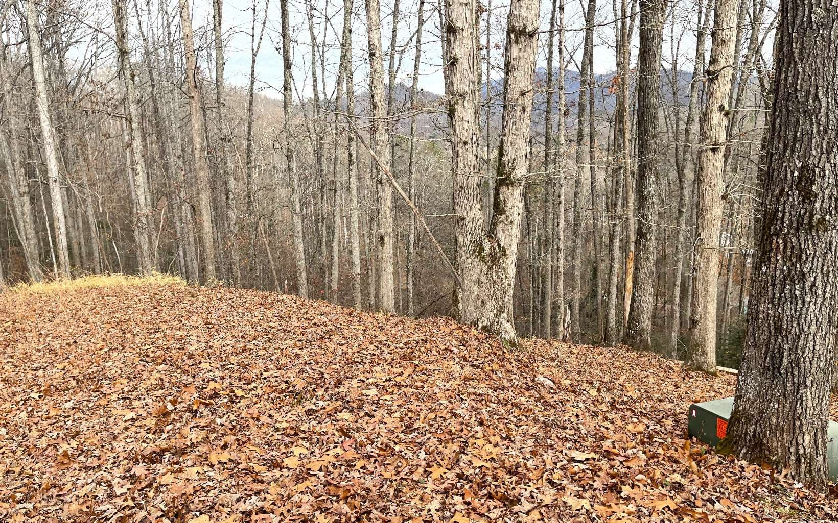 Lot 1C Lakewood Hills, Hayesville NC 28904 - Photo