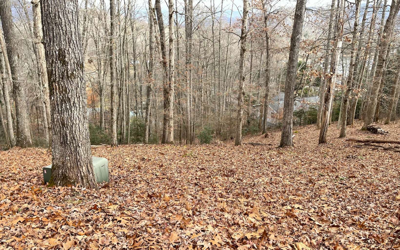 Lot 1C Lakewood Hills, Hayesville NC 28904 - Photo