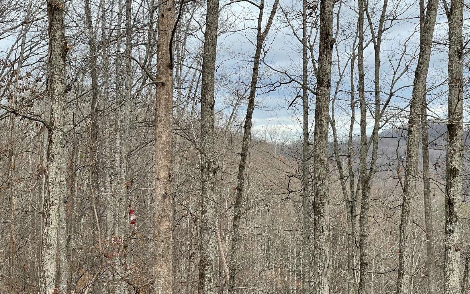 Lot 1C Lakewood Hills, Hayesville NC 28904 - Photo