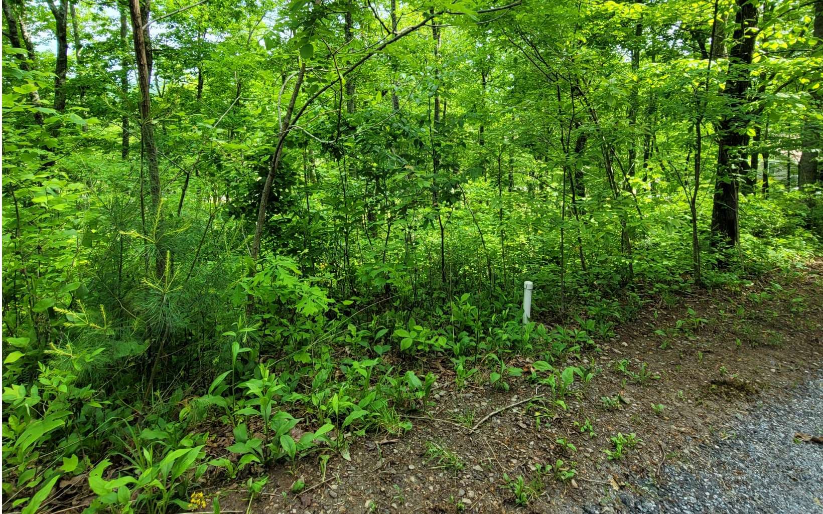 4 Oak Forest Acres, Hayesville NC 28904 - Photo