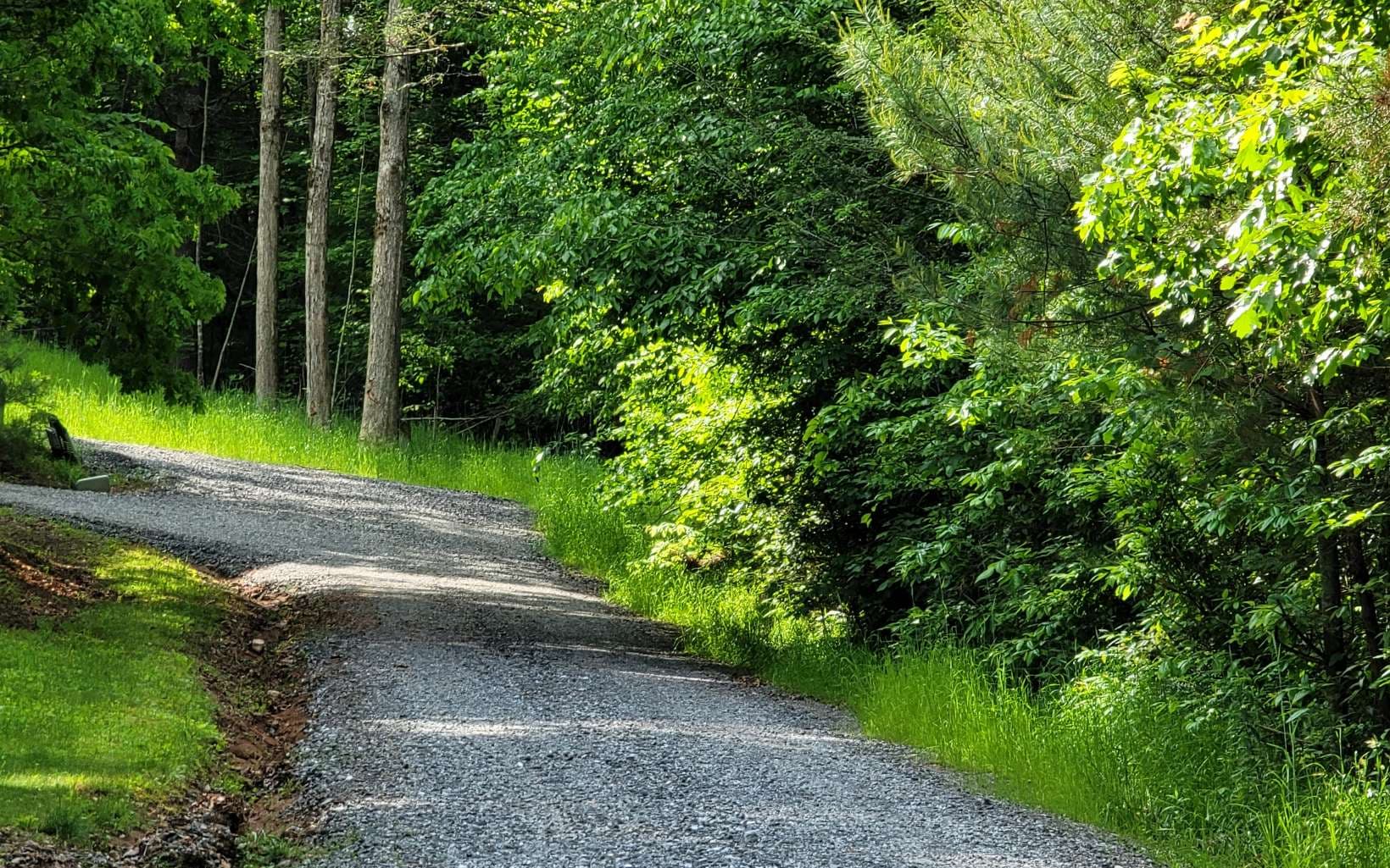 4 Oak Forest Acres, Hayesville NC 28904 - Photo