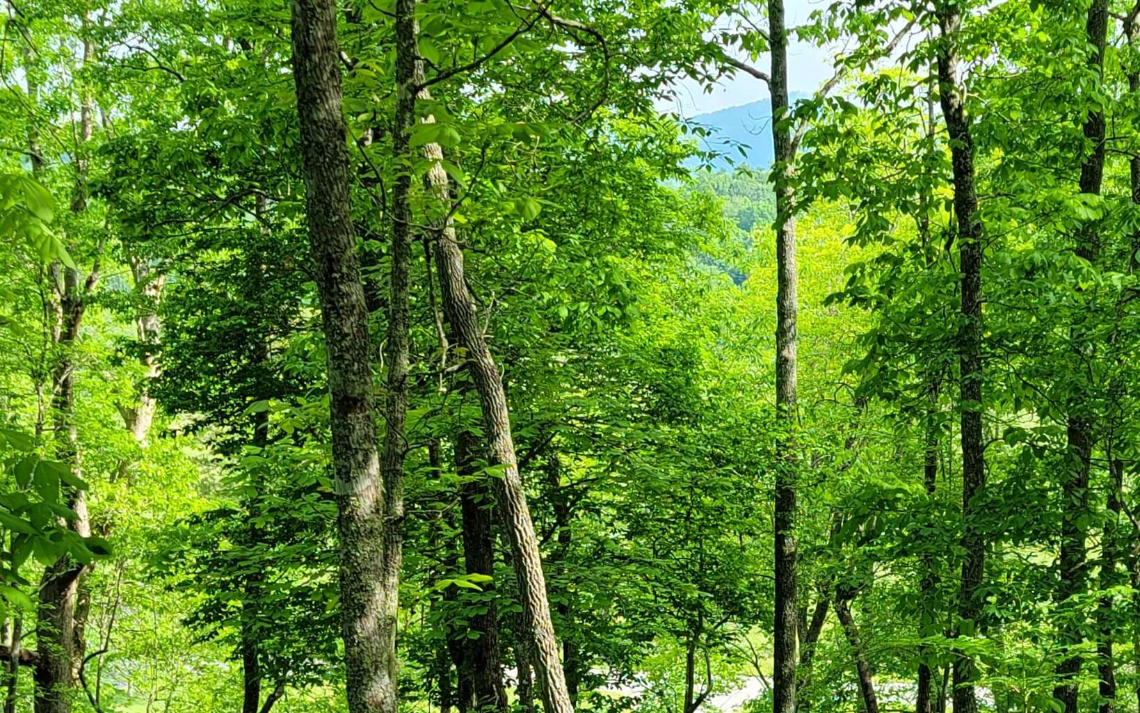 4 Oak Forest Acres, Hayesville NC 28904 - Photo