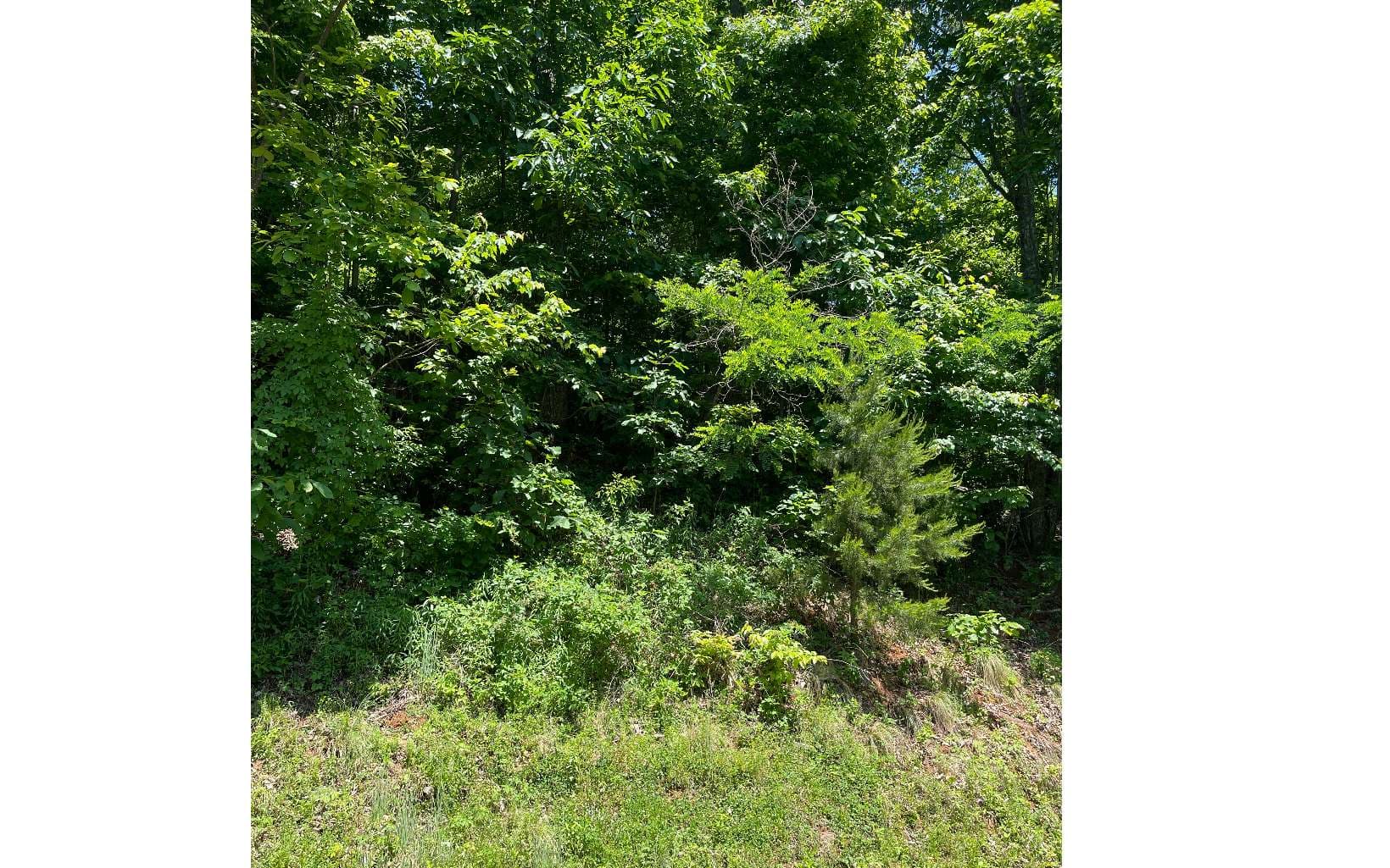 33B Grandview Drive, Hayesville NC 28904 - Photo