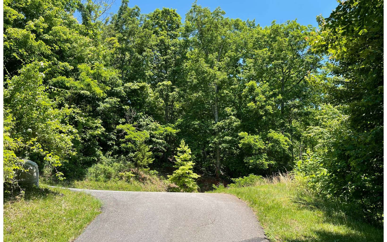 33B Grandview Drive, Hayesville NC 28904 - Photo