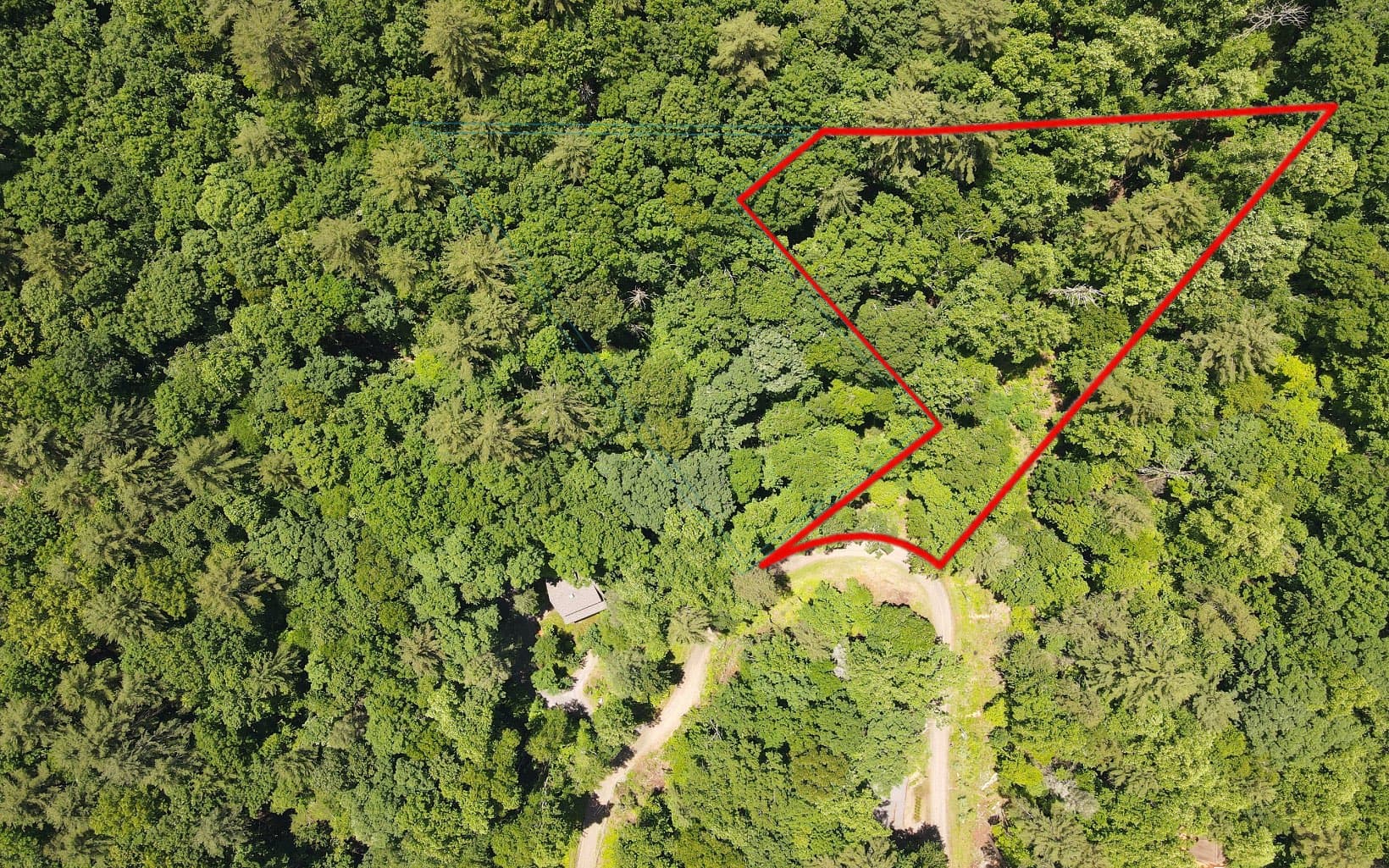 TR 2 Cindy Cove Road, Blairsville GA 30512 - Photo