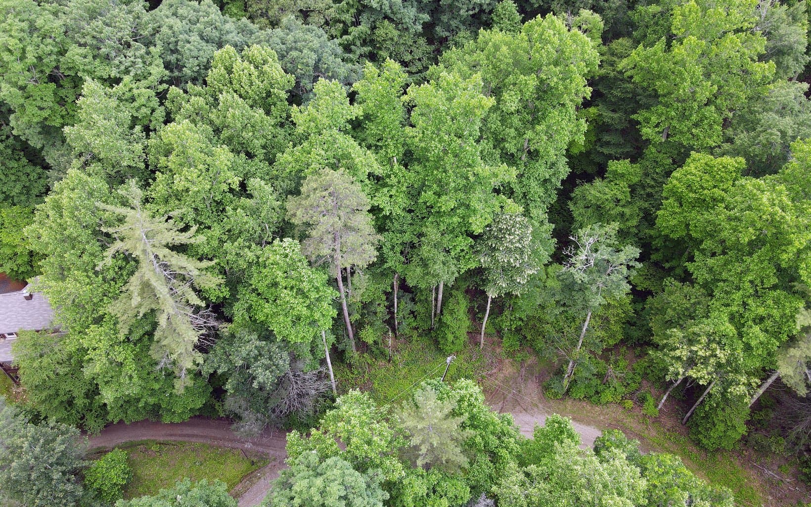 TR 2 Cindy Cove Road, Blairsville GA 30512 - Photo