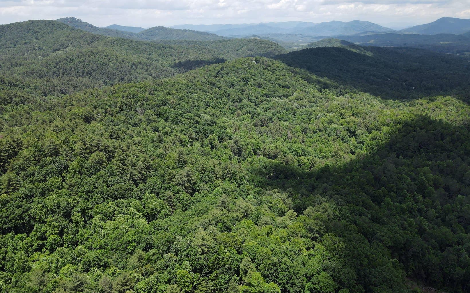 TR 3 Cindy Cove Road, Blairsville GA 30512 - Photo